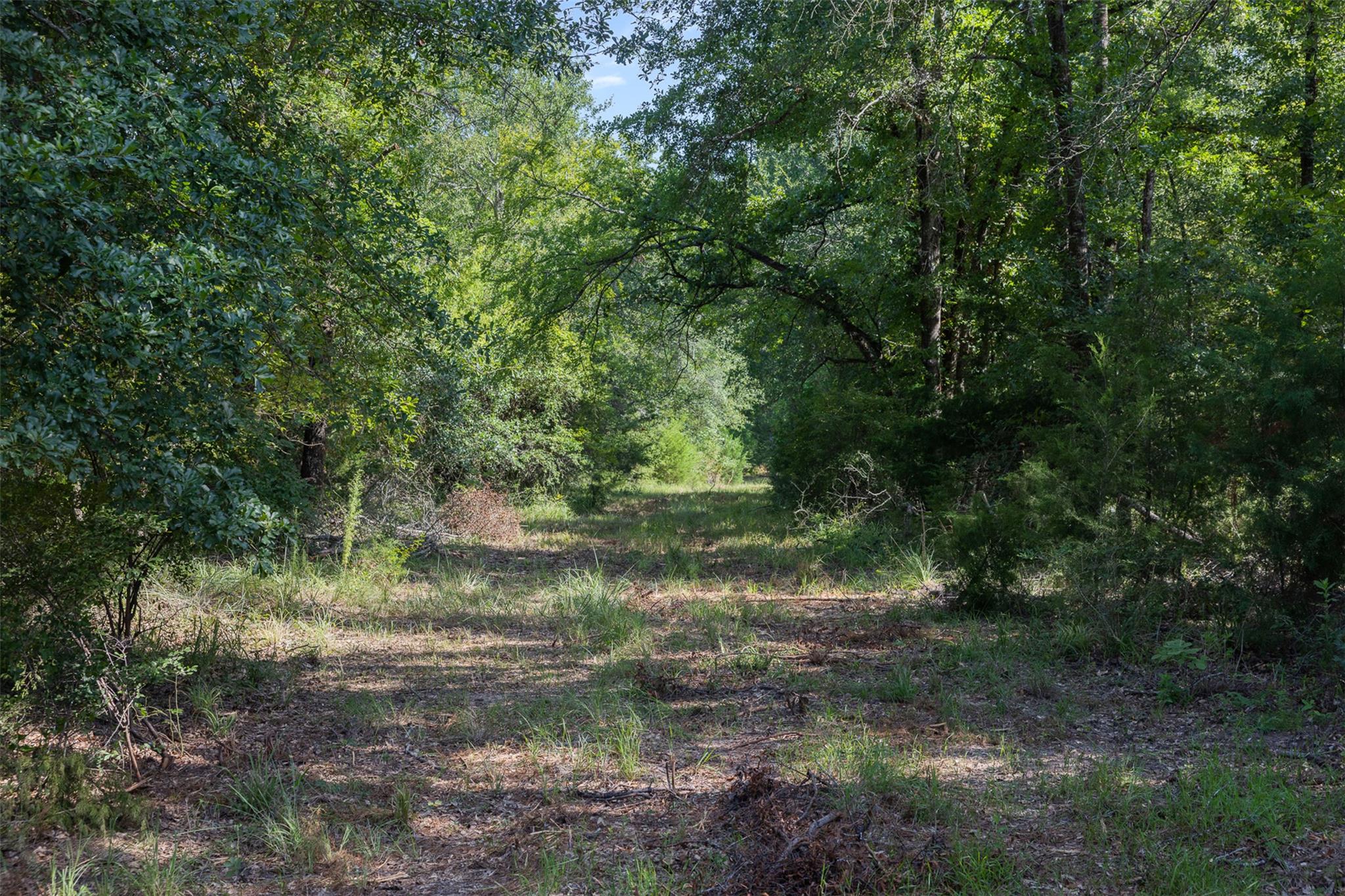 Tbd Fm 39 None Property Photo 11