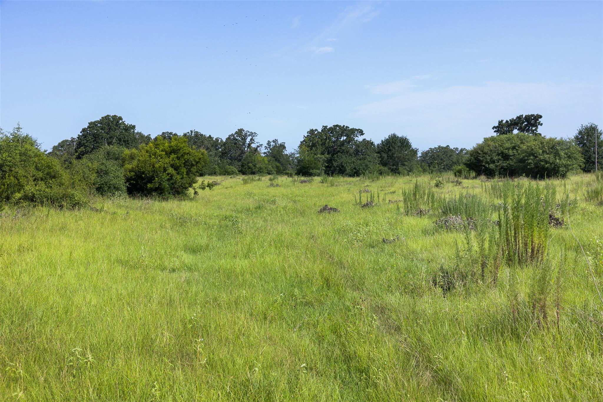 Tbd Fm 39 None Property Photo 17