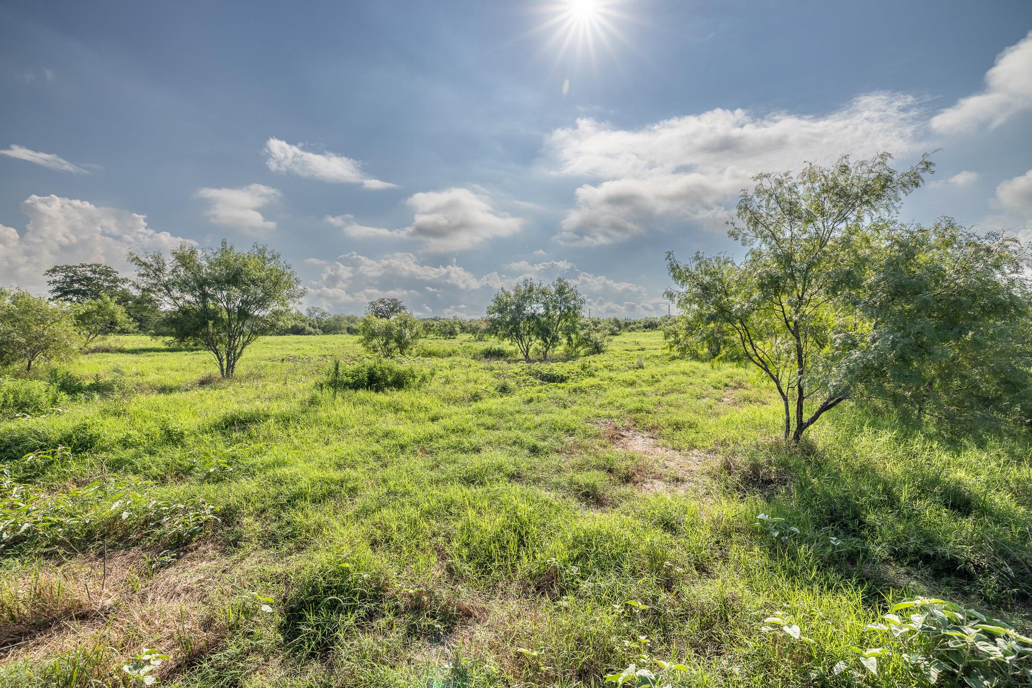 Lot 1-c County Road 491 Property Photo