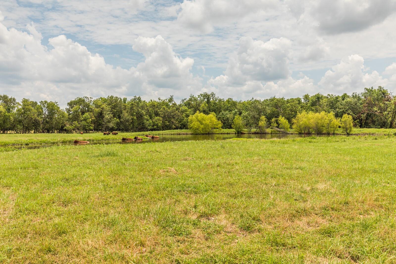 734 E Fm 485 None Property Photo 33