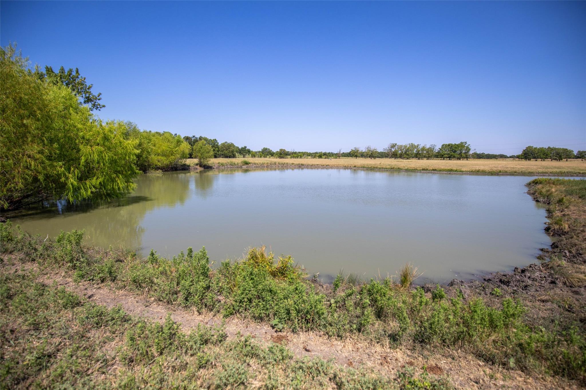 734 E Fm 485 None Property Photo 34