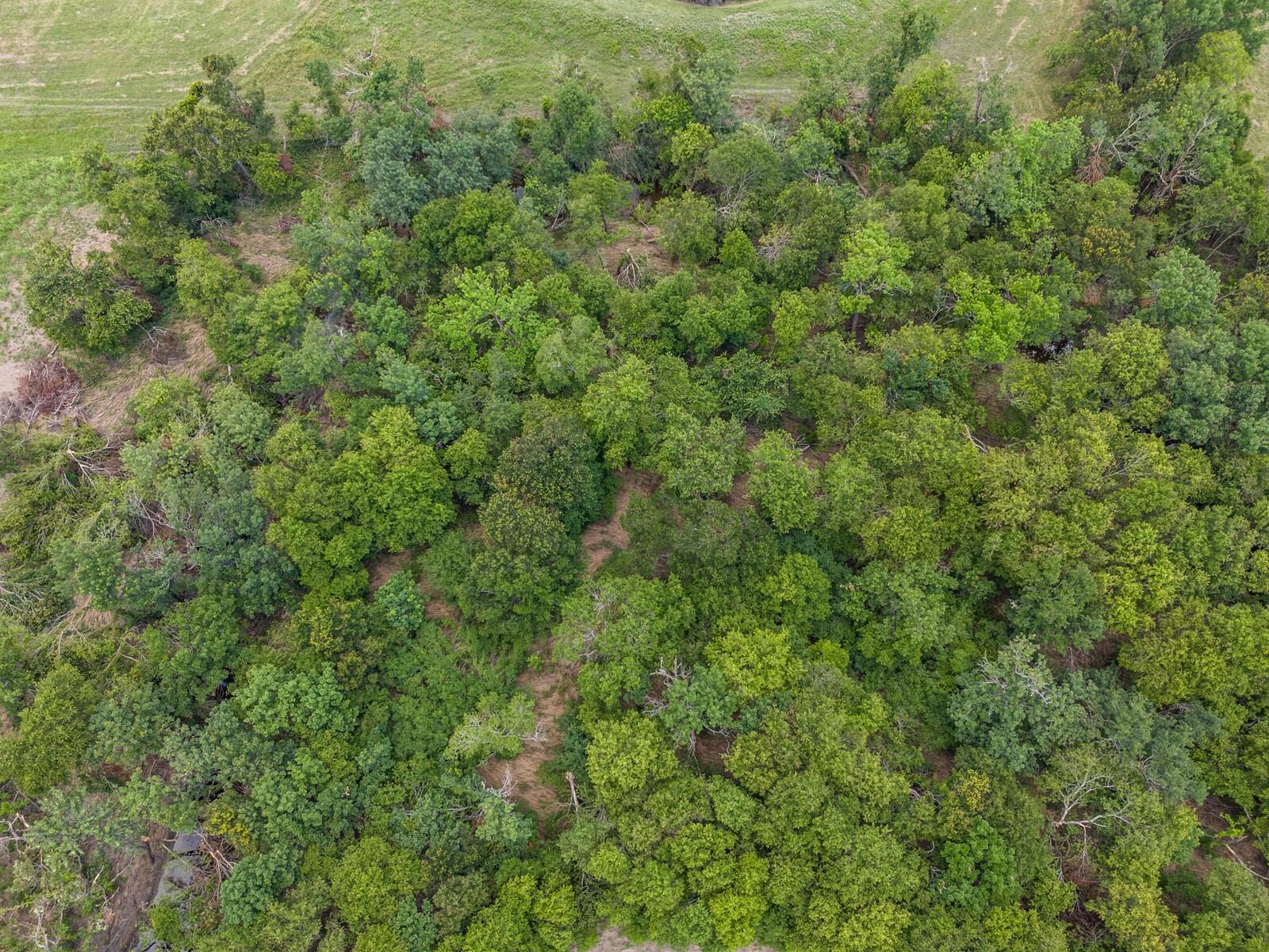 734 E Fm 485 None Property Photo 36