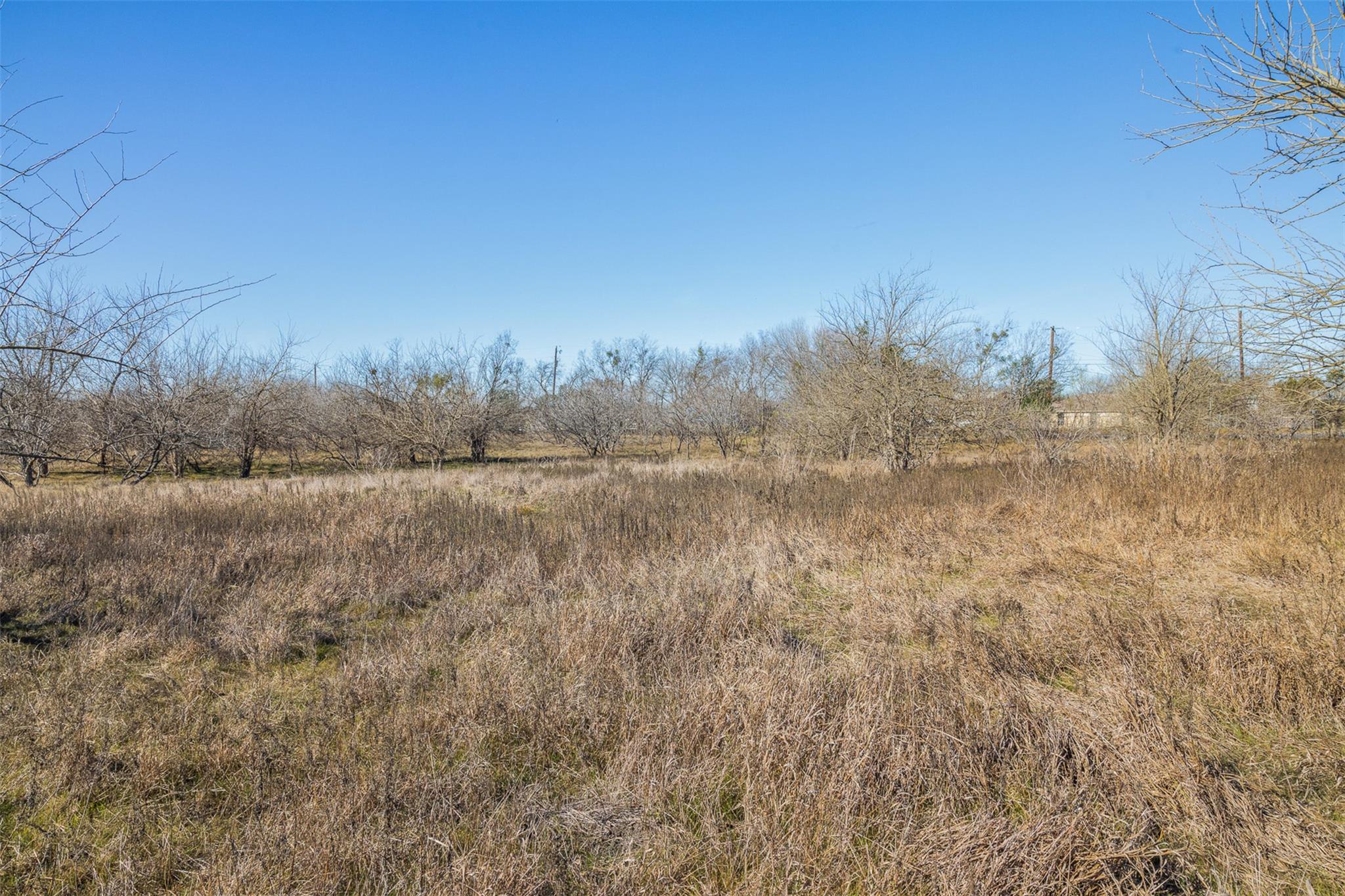 5225 Fm 2001 None Property Photo 32