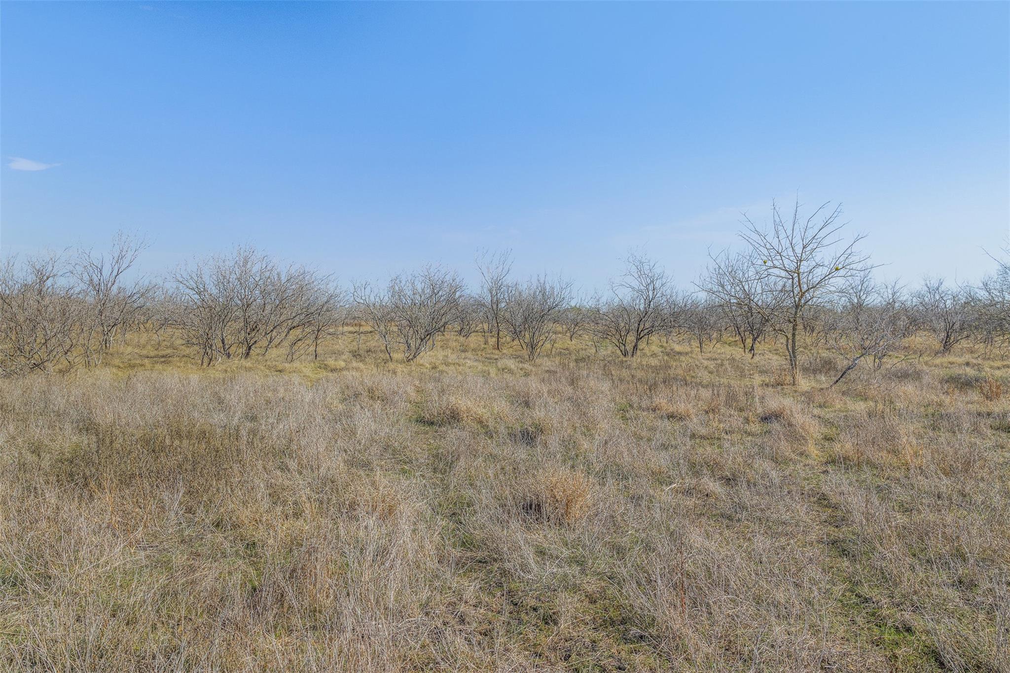5225 Fm 2001 None Property Photo 35
