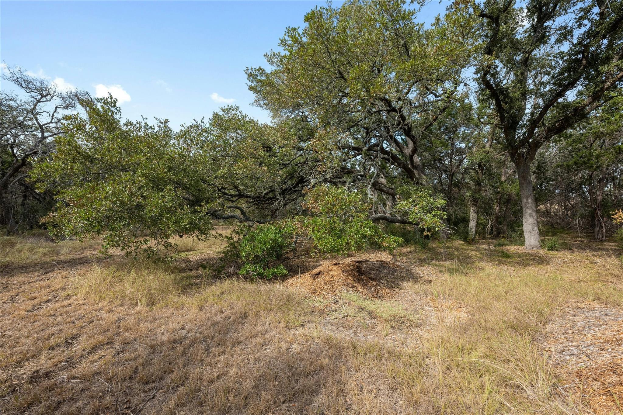 200 Ted Burger Rd Property Photo 5