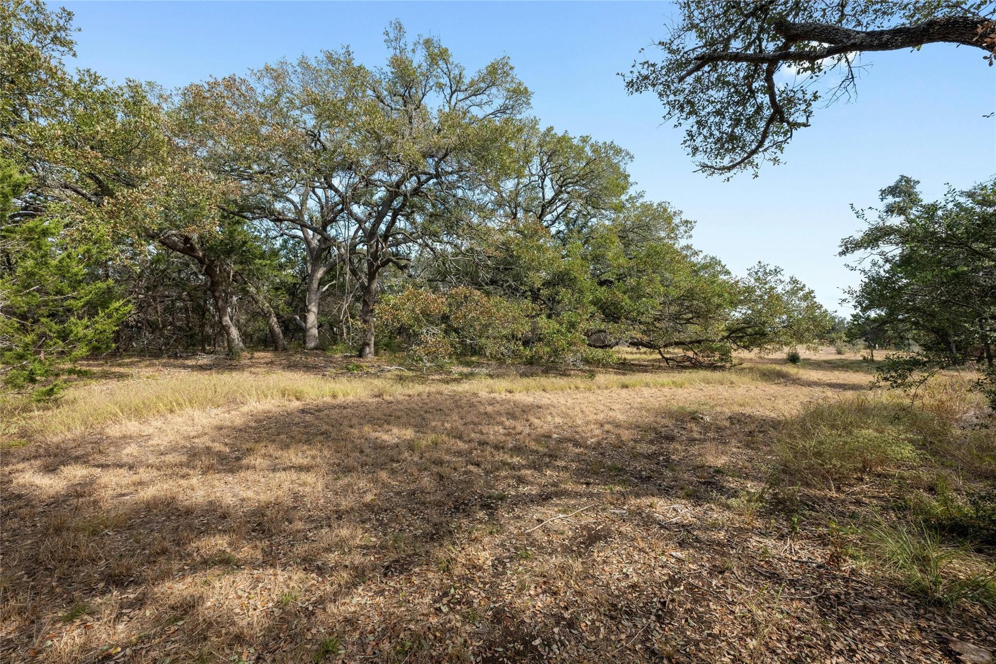 200 Ted Burger Rd Property Photo 7