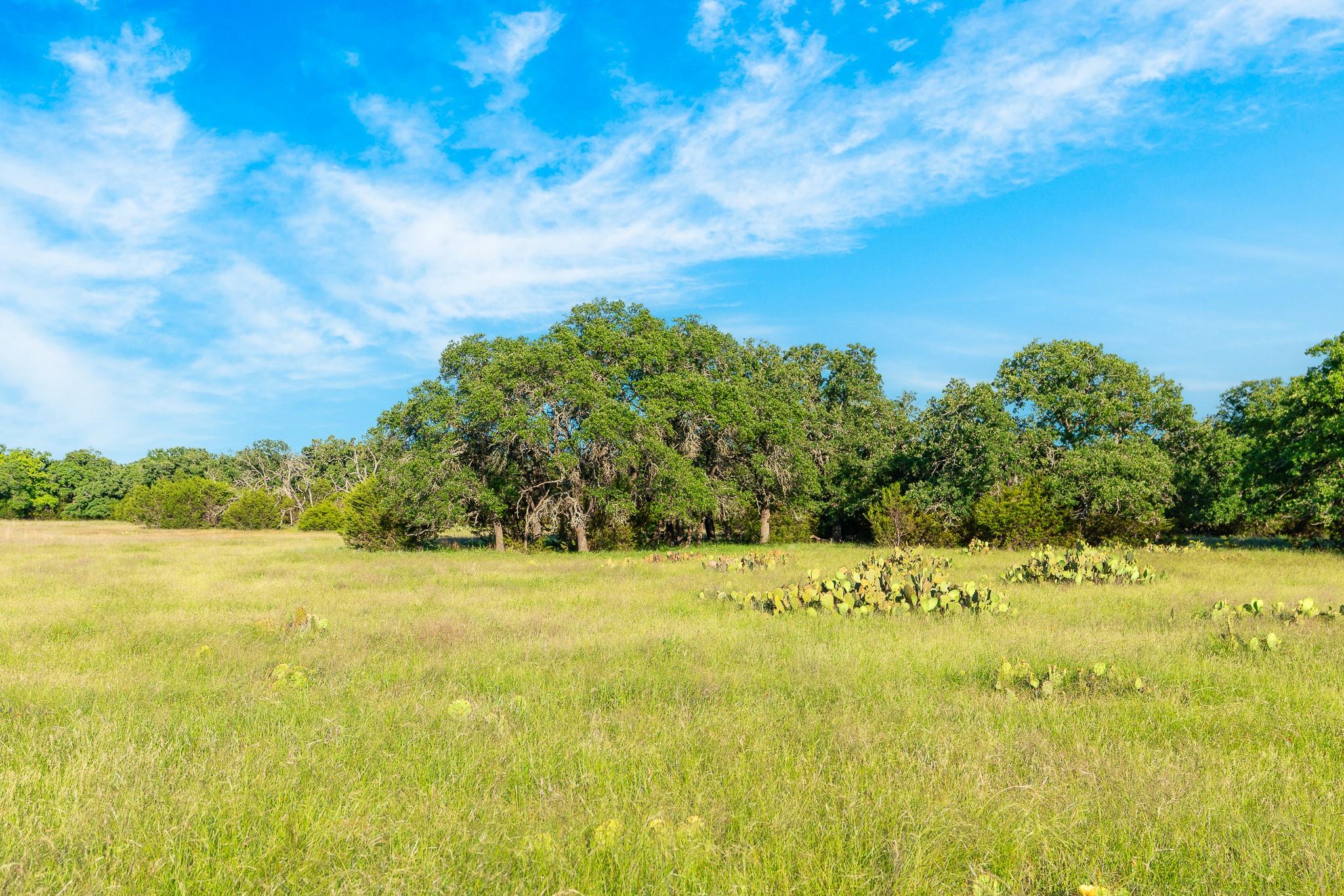 28 Feild Ranch Rd Property Photo 17