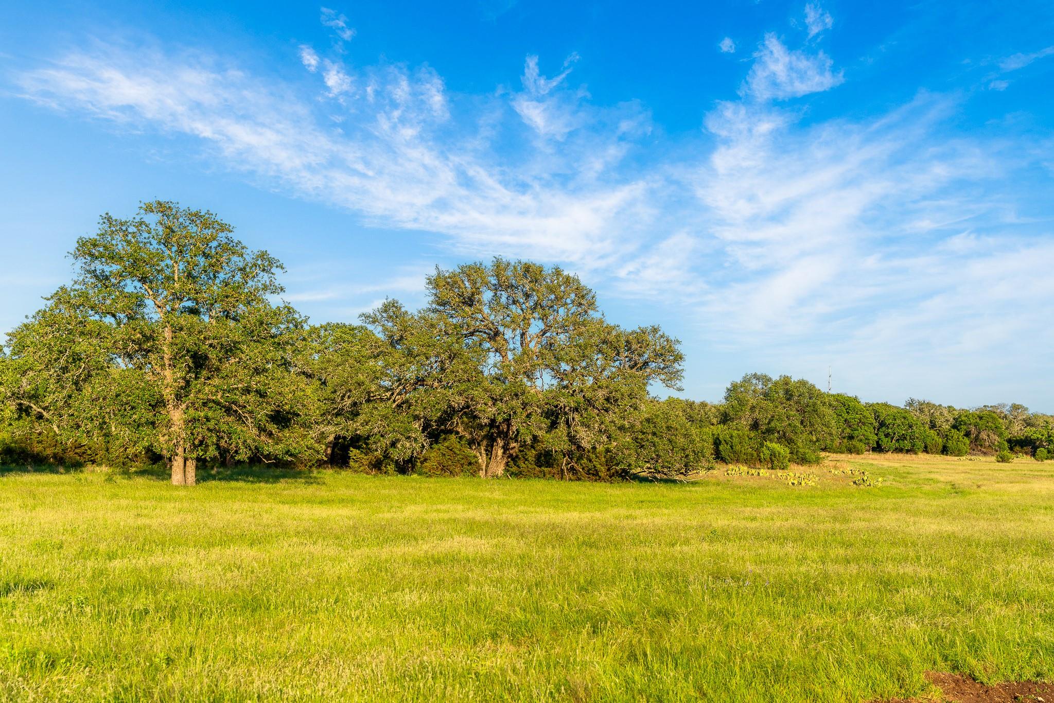 28 Feild Ranch Rd Property Photo 18