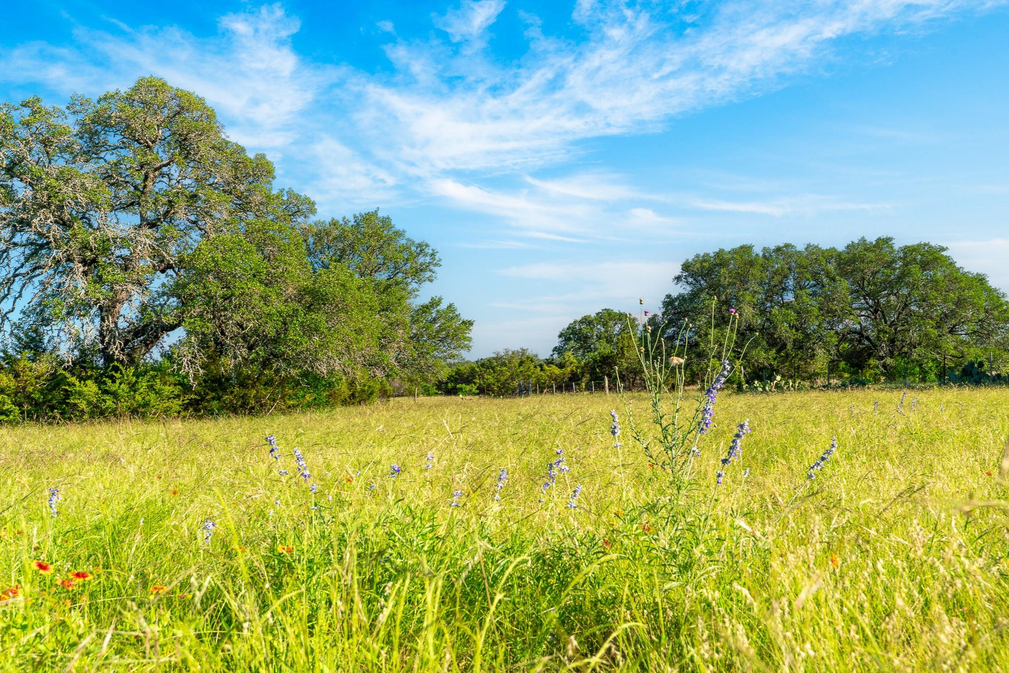 28 Feild Ranch Rd Property Photo 28