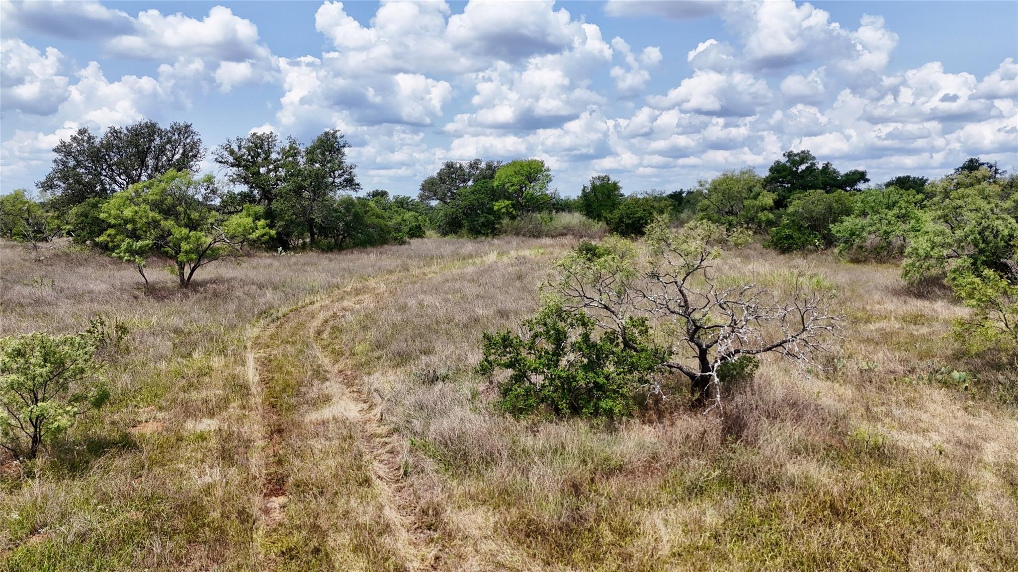 00 Cr 103 None Property Photo 6