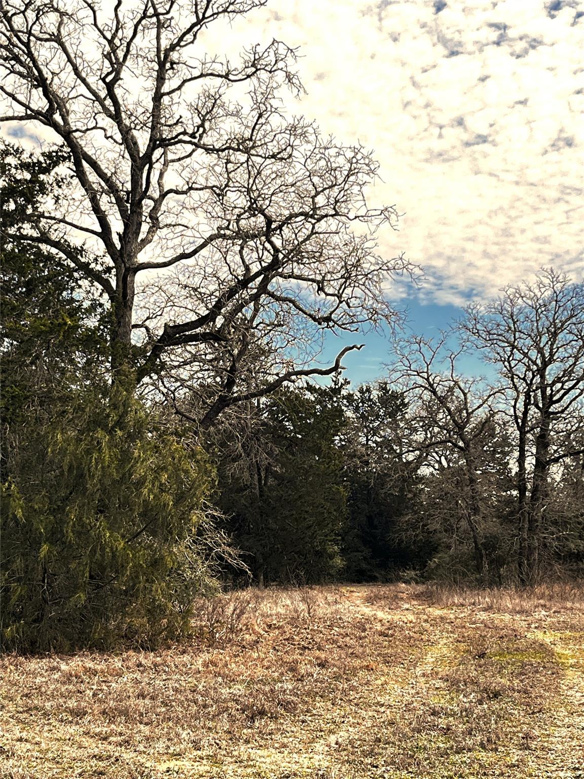 Lot 4 Cr 322 Property Photo 2