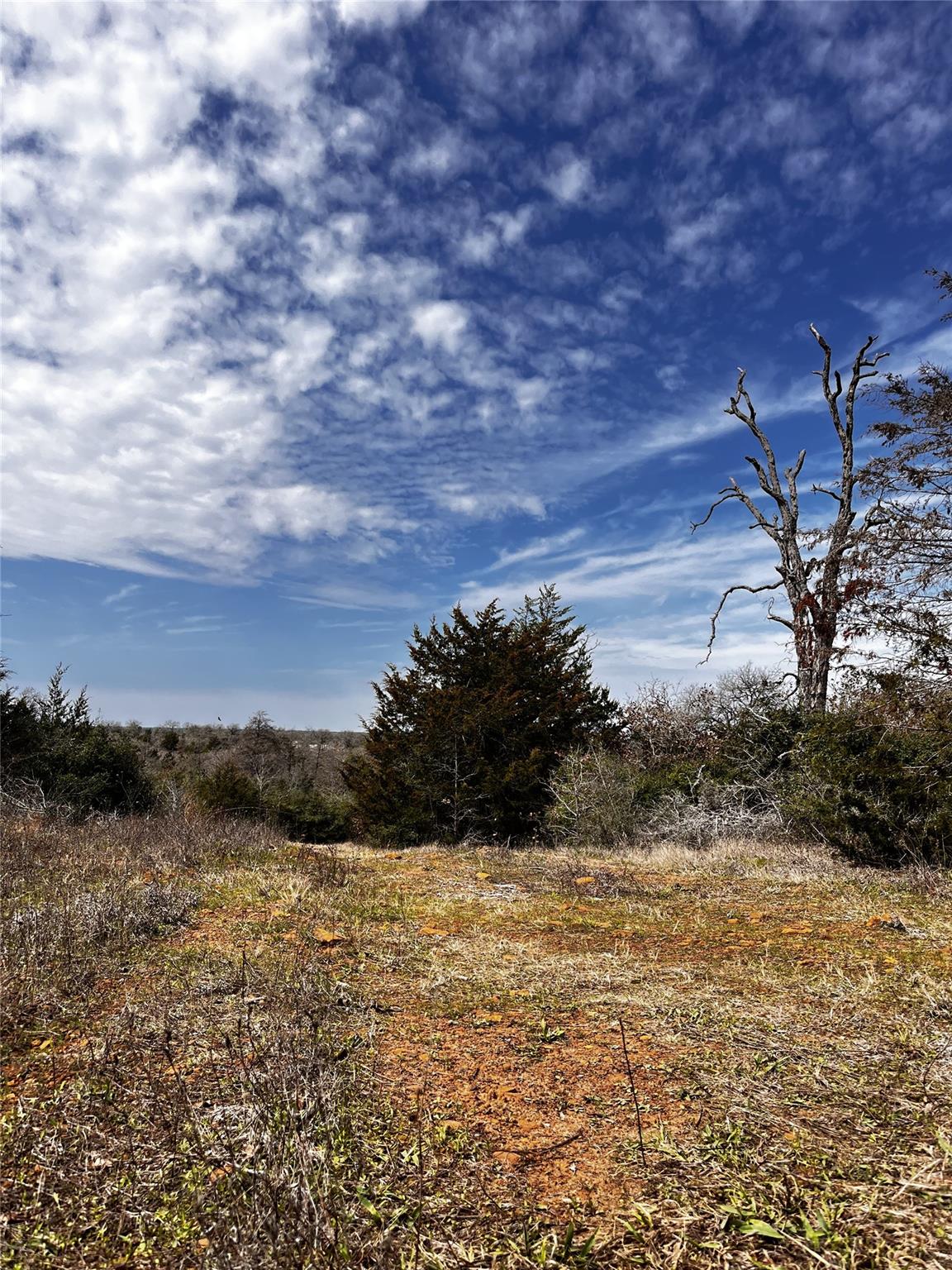 Lot 4 Cr 322 Property Photo 3