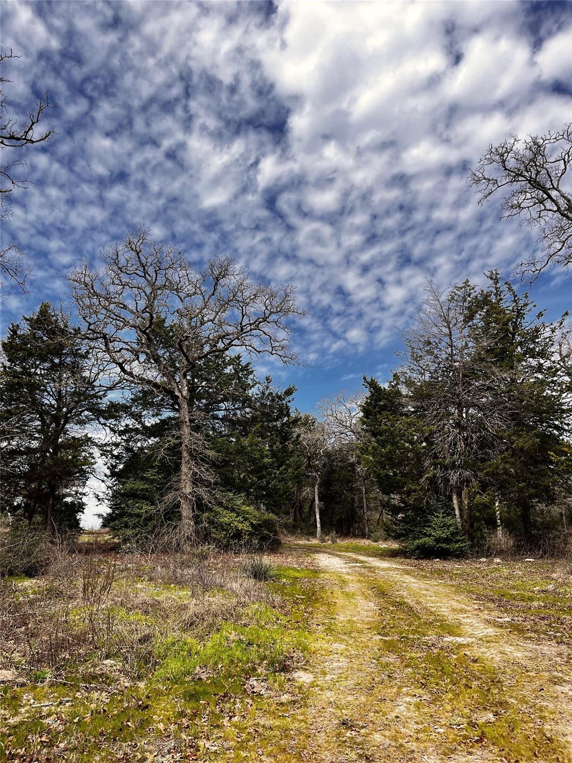 Lot 4 Cr 322 Property Photo 4