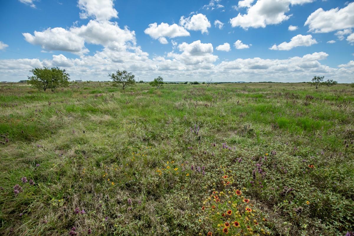 Lot 3 Tbd Farm Market-243 Property Photo 6
