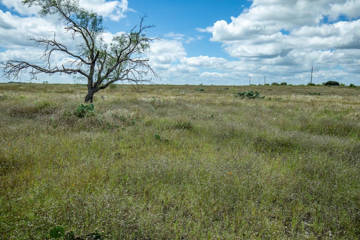 Lot 3 Tbd Farm Market-243 Property Photo 7
