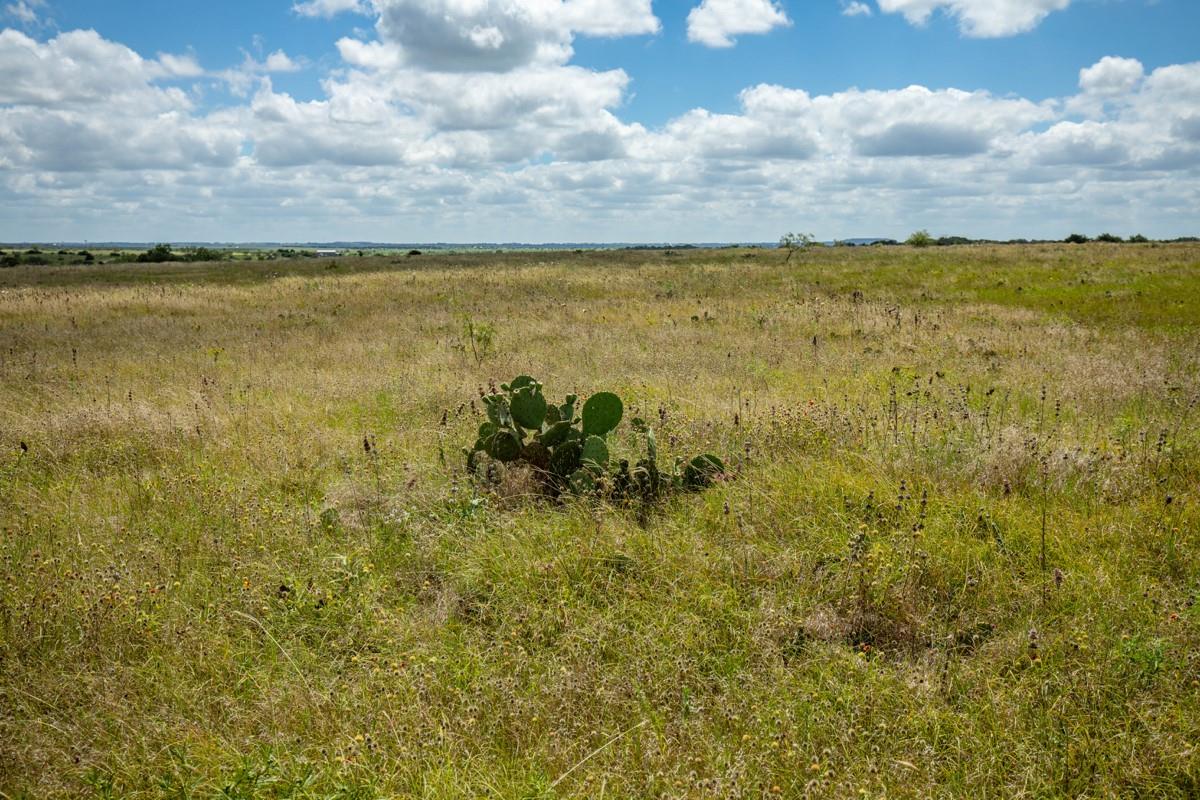 Lot 3 Tbd Farm Market-243 Property Photo 8