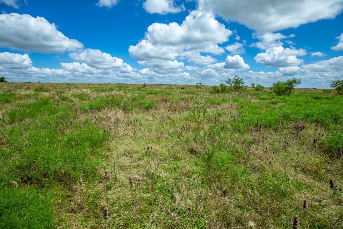 Lot 3 Tbd Farm Market-243 Property Photo 14
