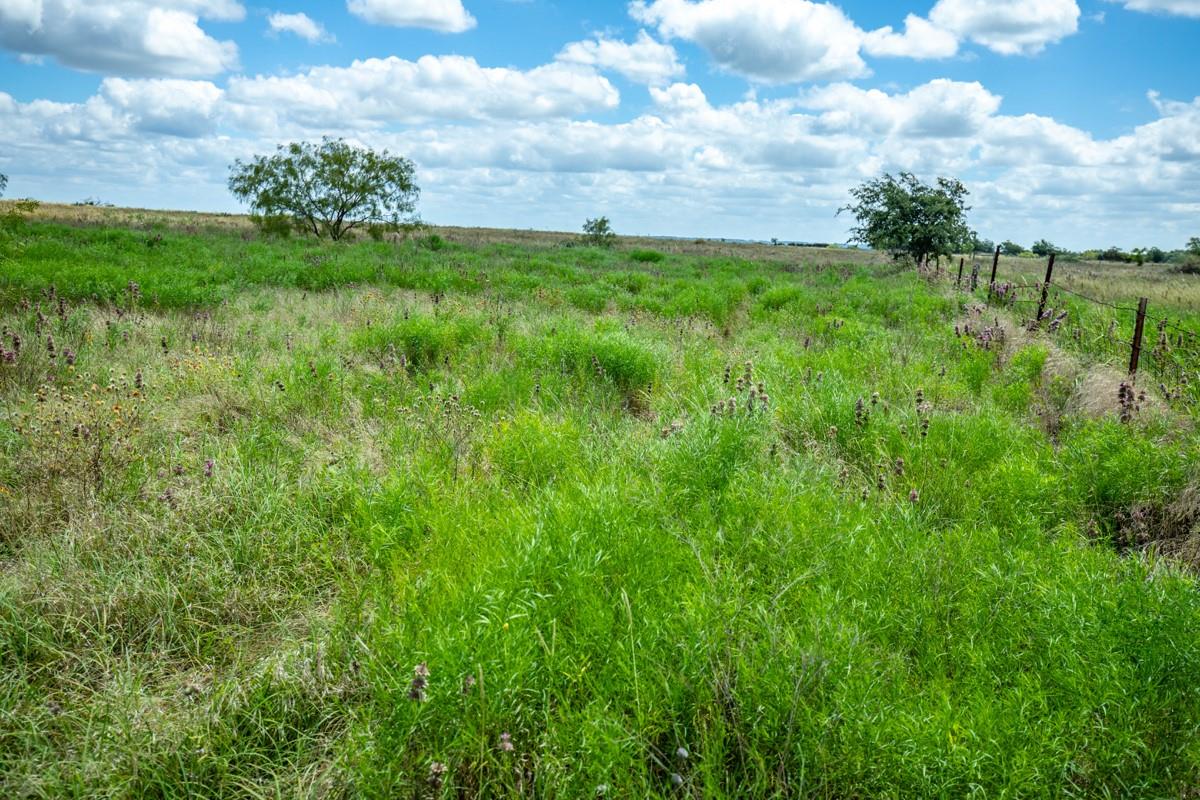 Lot 3 Tbd Farm Market-243 Property Photo 16