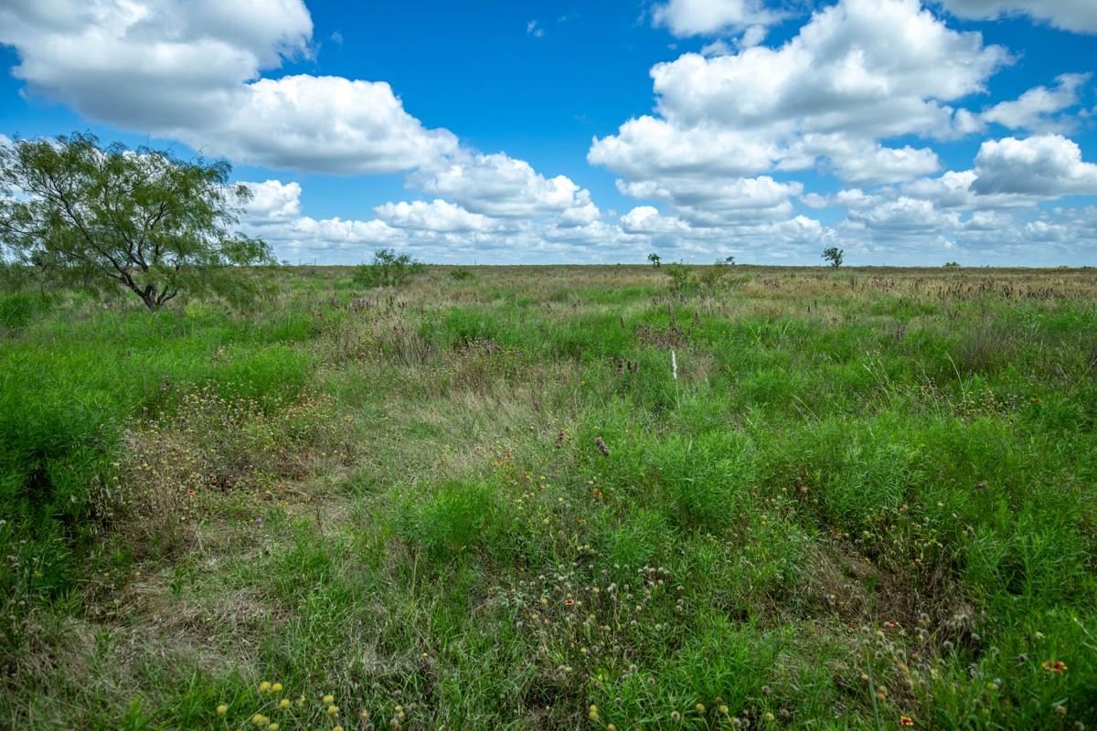 Lot 3 Tbd Farm Market-243 Property Photo 18