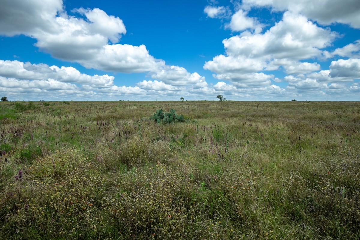 Lot 3 Tbd Farm Market-243 Property Photo 20