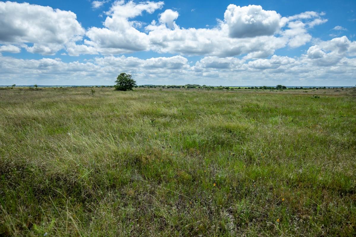 Lot 3 Tbd Farm Market-243 Property Photo 27
