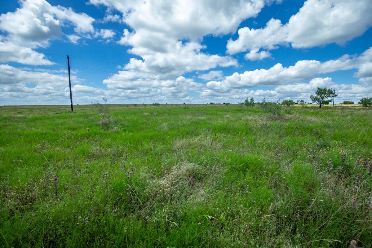 Lot 3 Tbd Farm Market-243 Property Photo 28