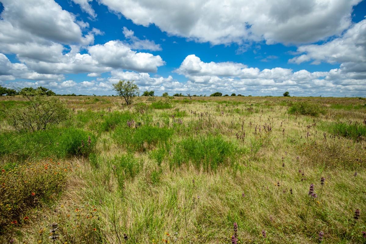 Lot 3 Tbd Farm Market-243 Property Photo 29