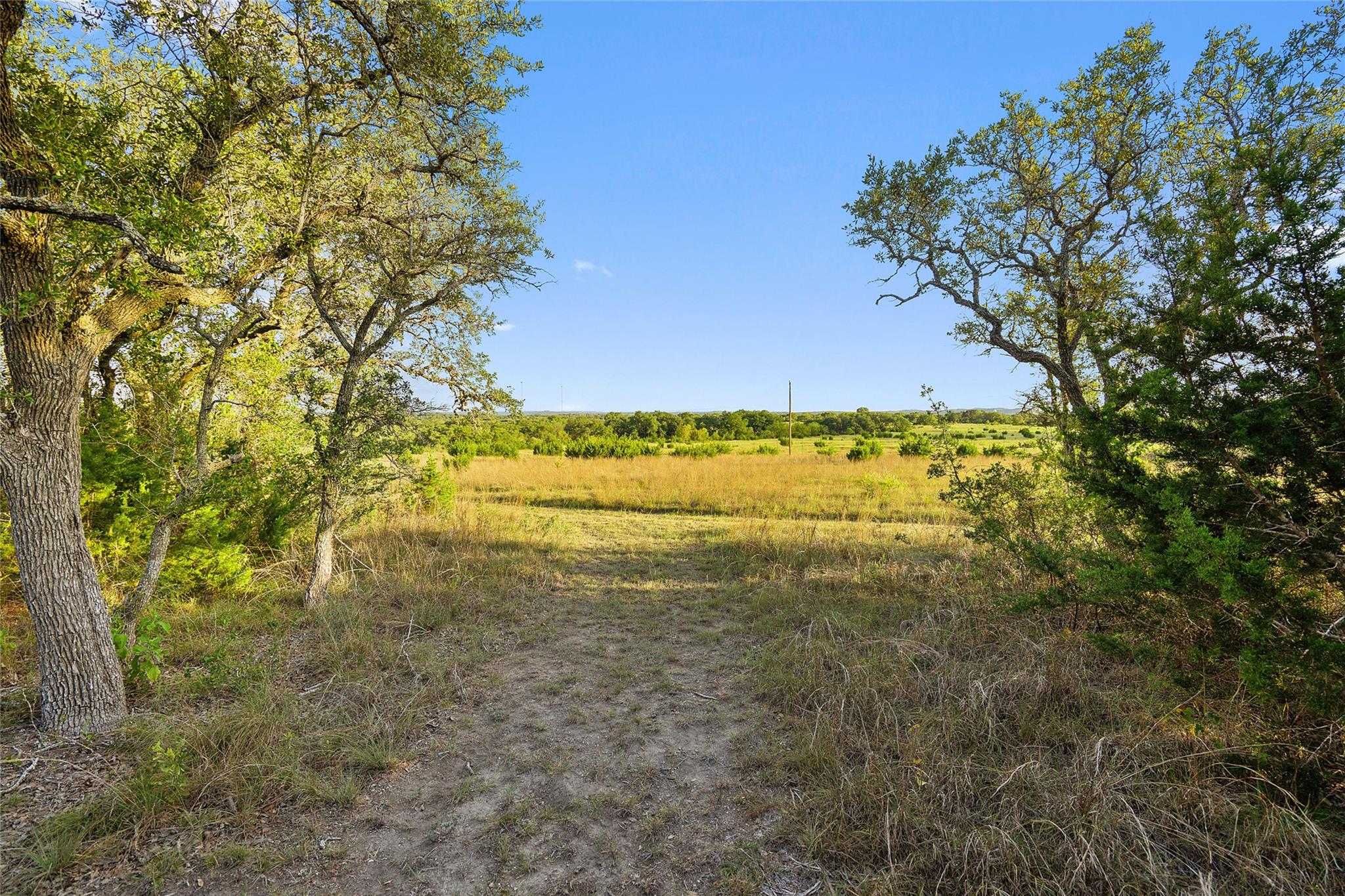 370 Gray Wolf None Property Photo 8