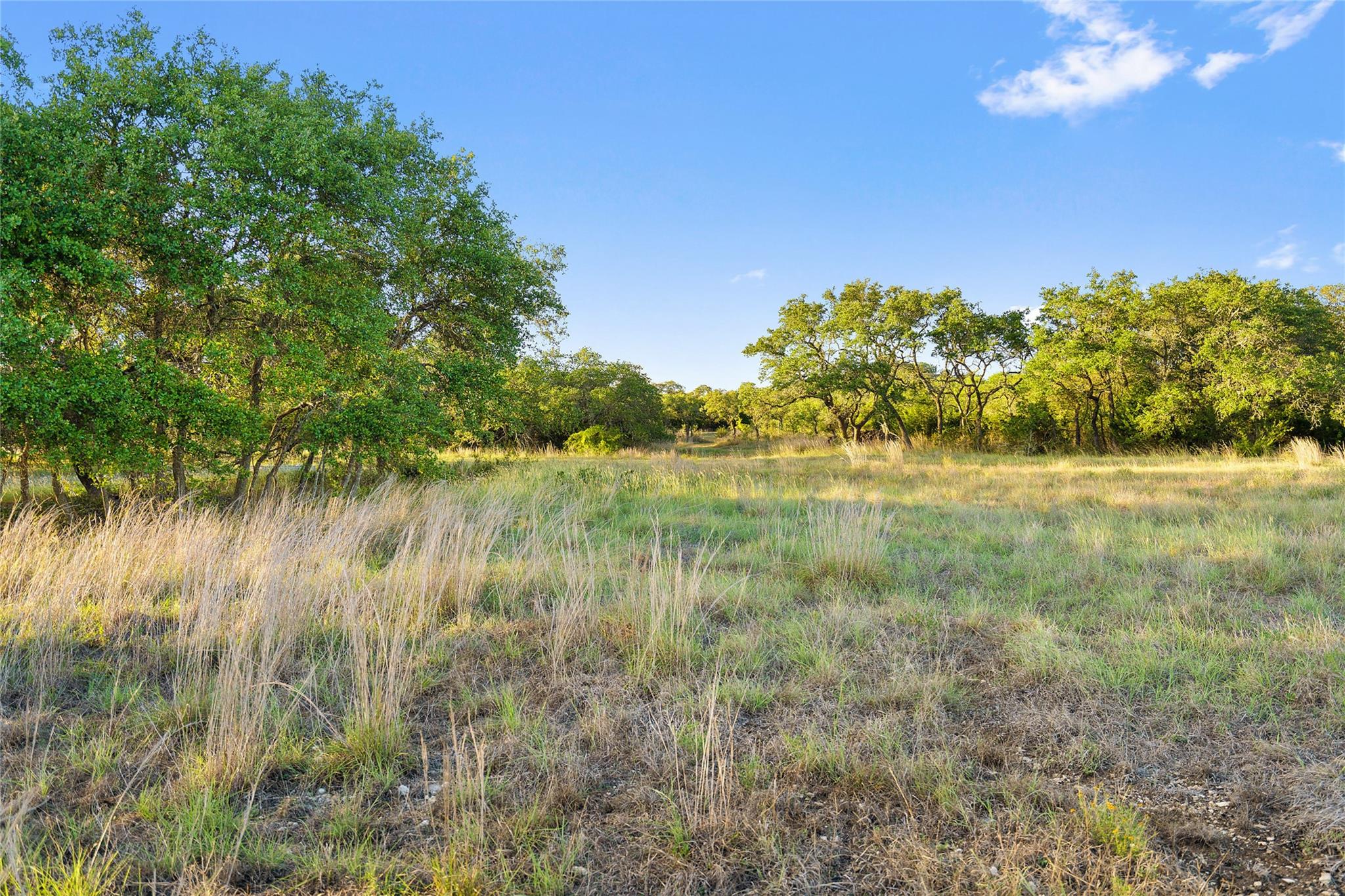 370 Gray Wolf None Property Photo 28