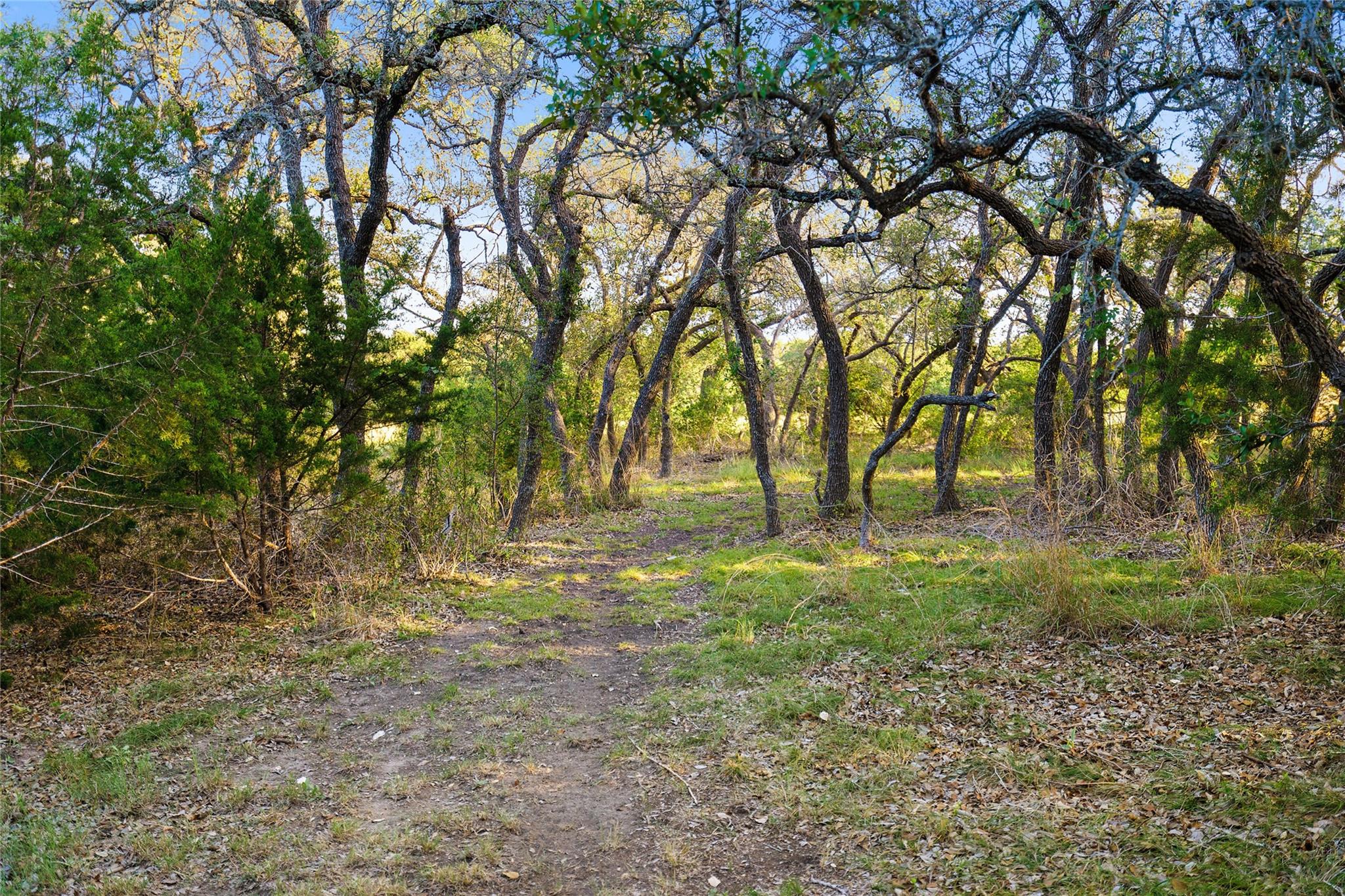 370 Gray Wolf None Property Photo 37