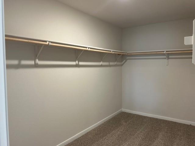 311 Darwin Pl Property Photo 16