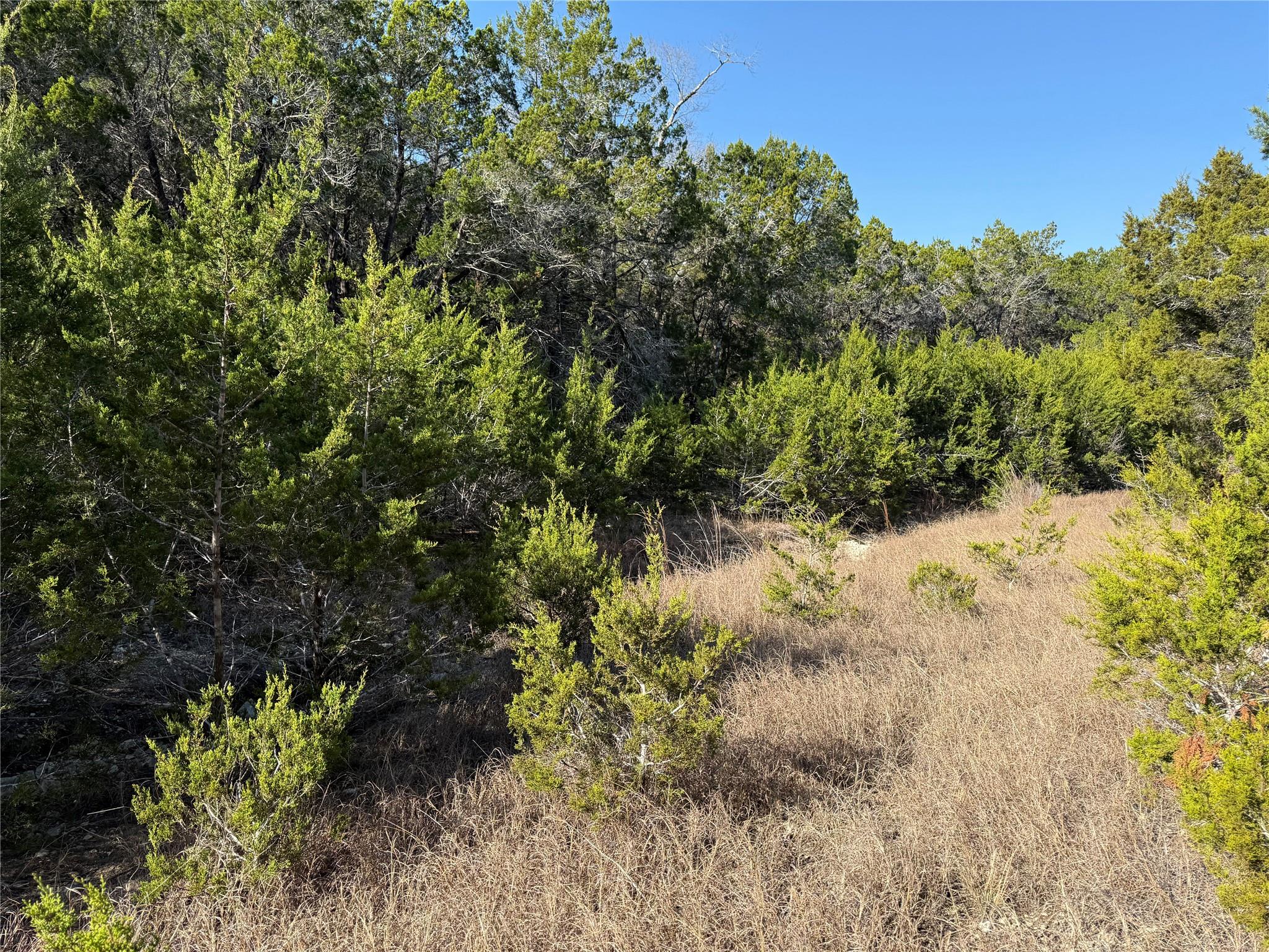248 Kellog None Property Photo 4