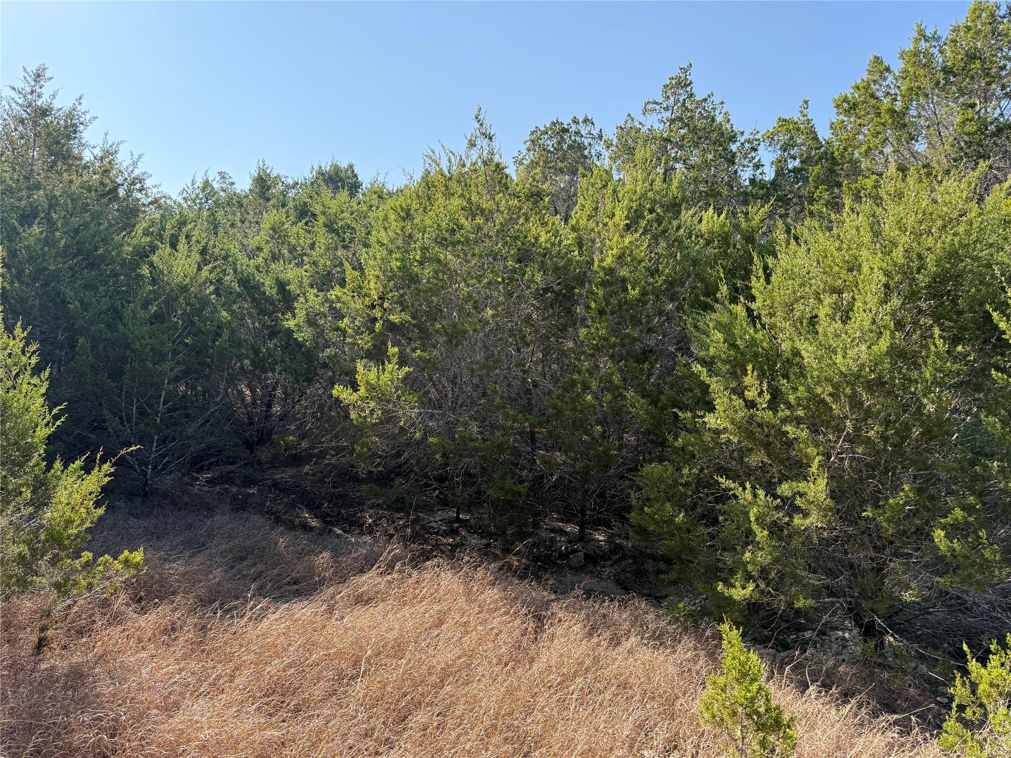 248 Kellog None Property Photo 6
