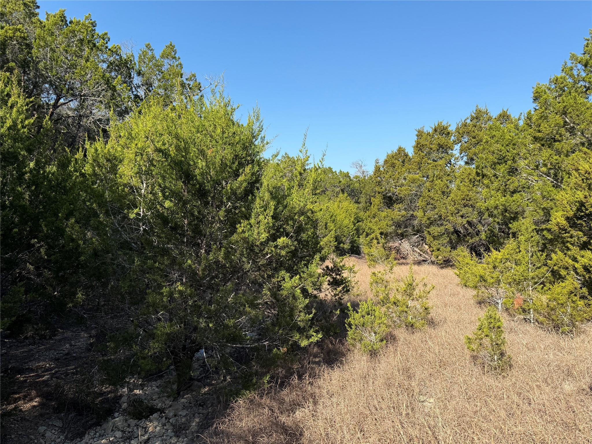 248 Kellog None Property Photo 7