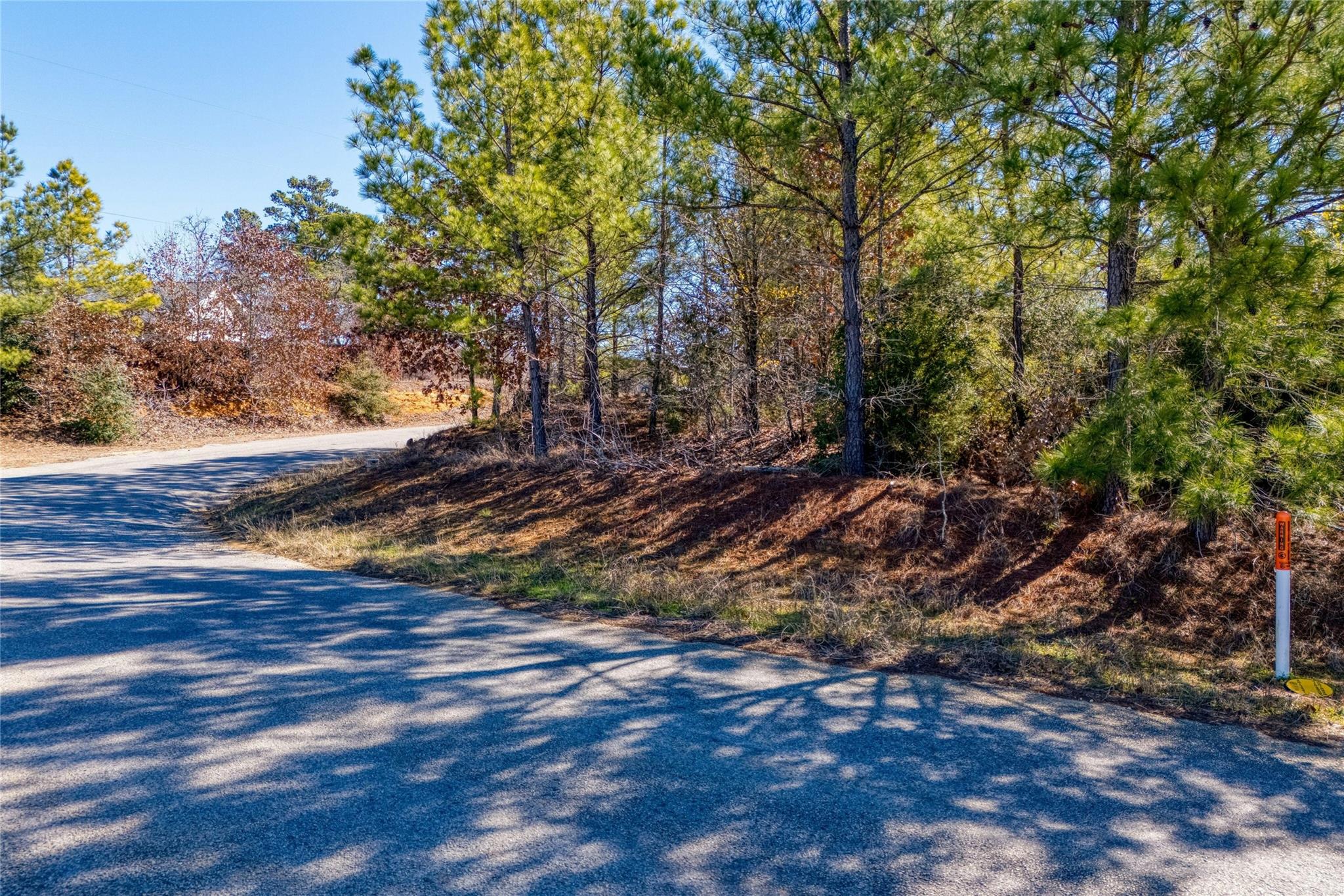 215-225 Pine Path Property Photo 2