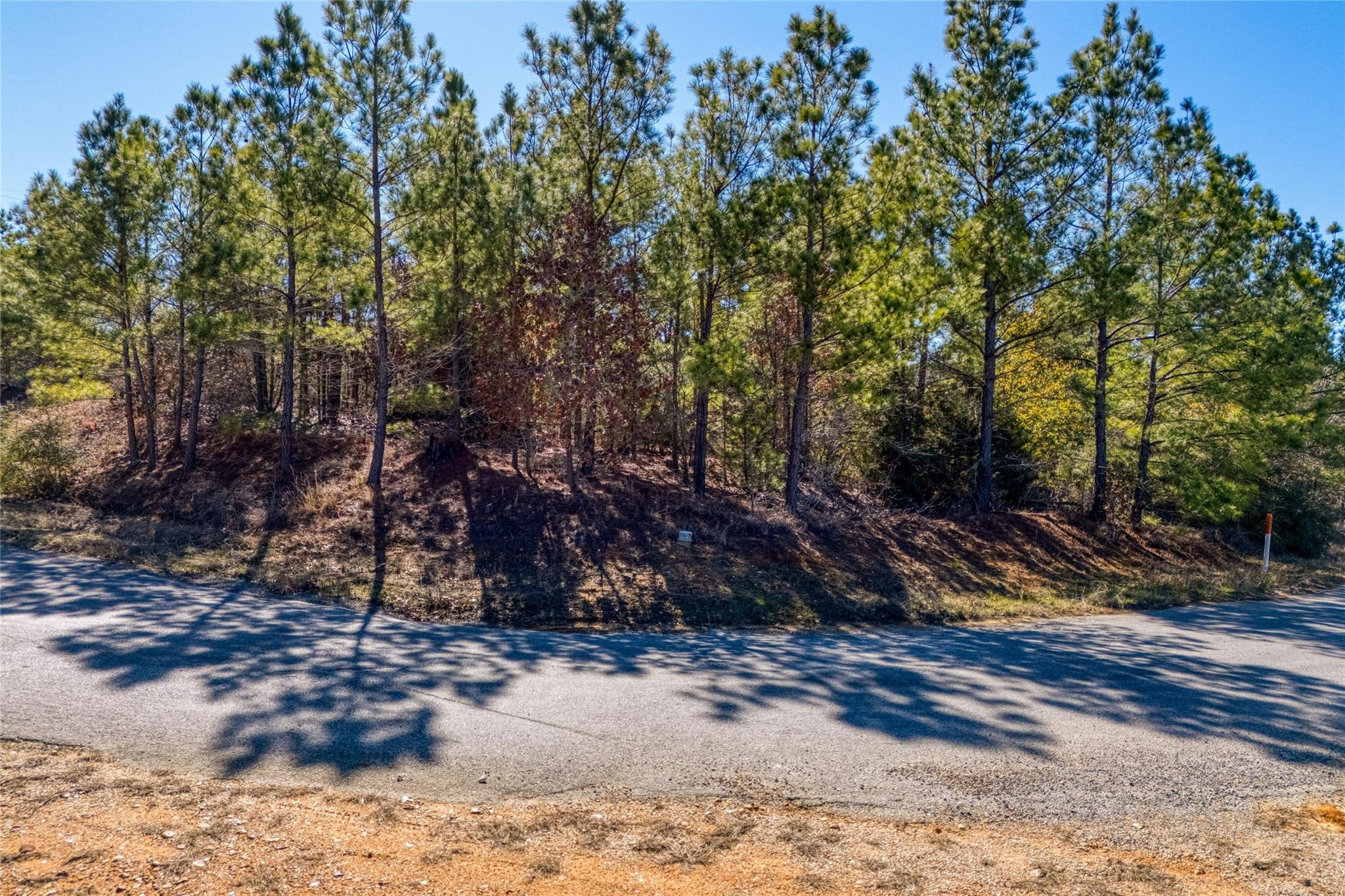 215-225 Pine Path Property Photo 3