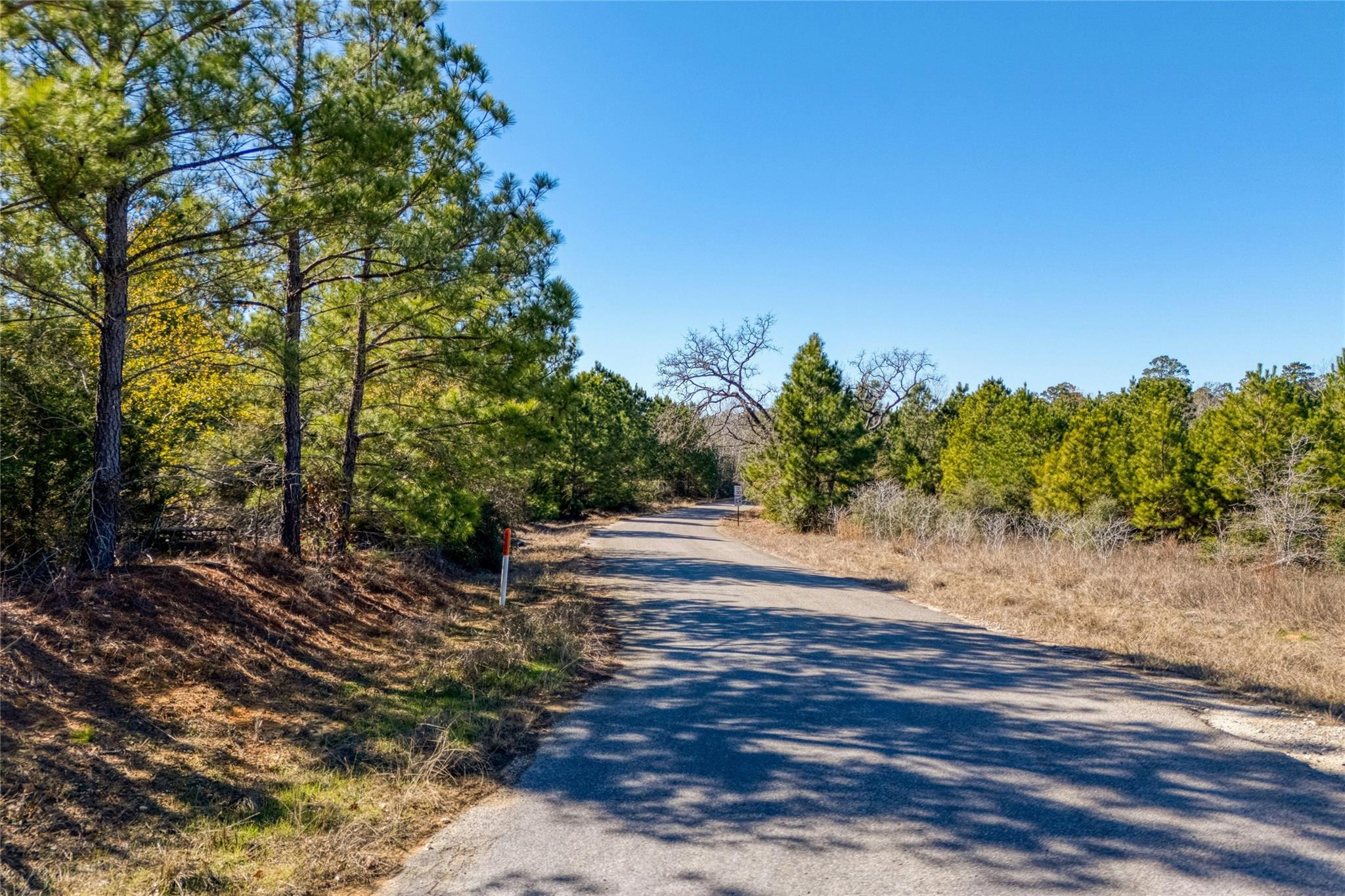 215-225 Pine Path Property Photo 4