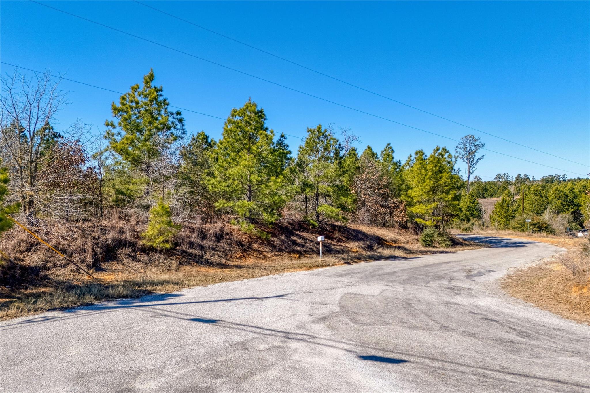 215-225 Pine Path Property Photo 5