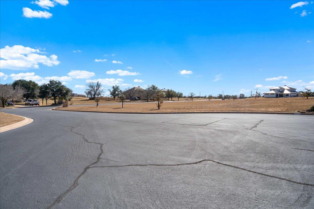 26601 Hunters Grove Ct Property Photo 2