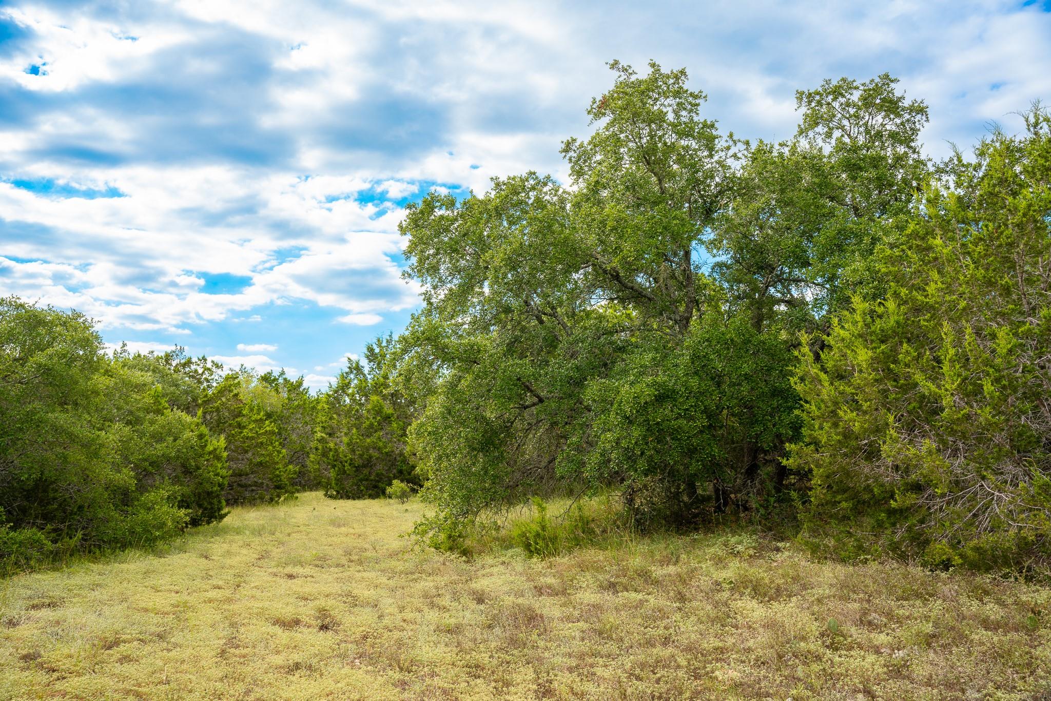 31171 Ranch Road 12 None Property Photo 1