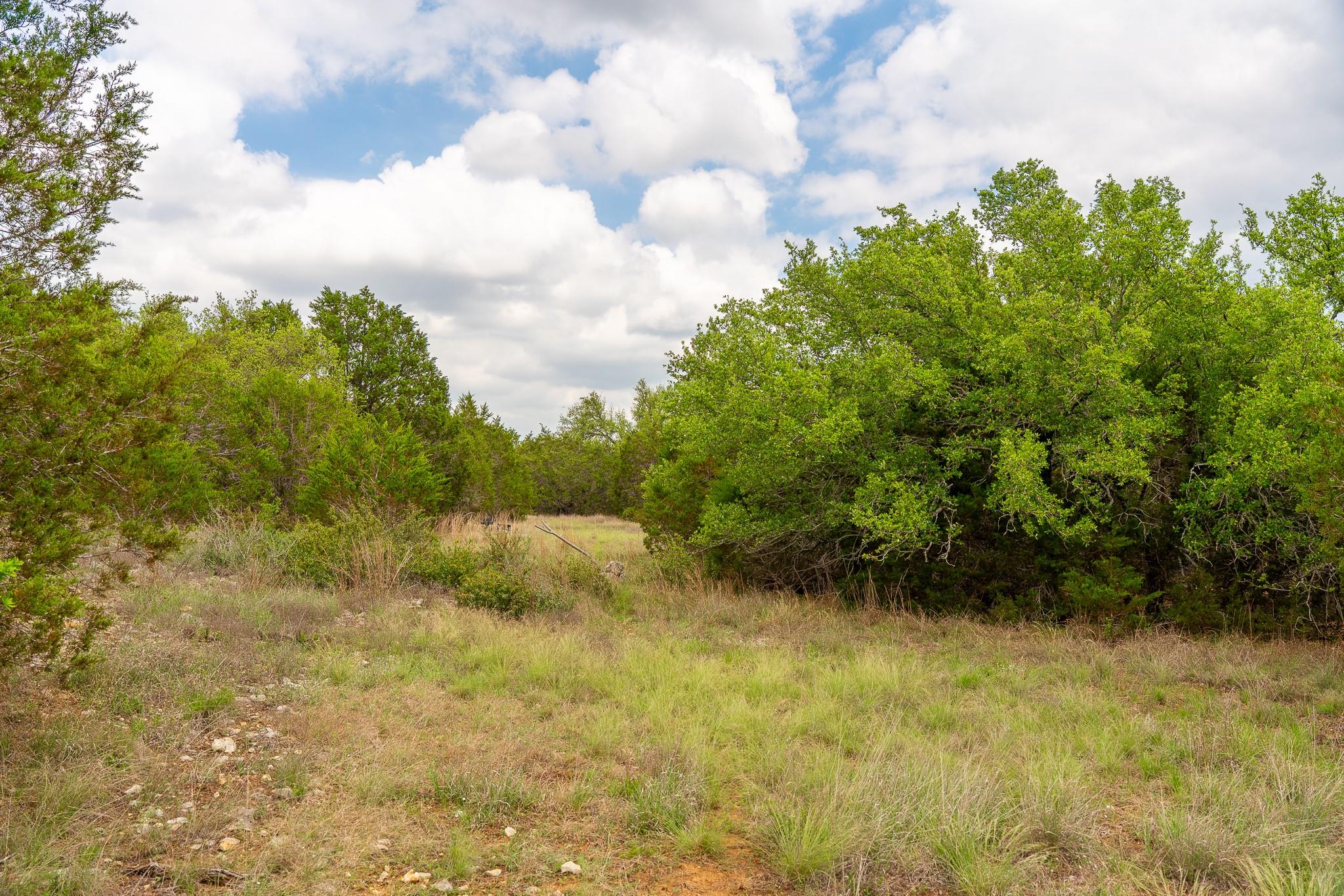 31171 Ranch Road 12 None Property Photo 11