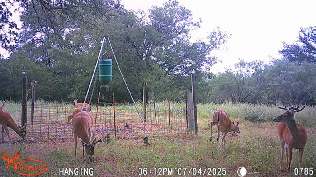 Tbd Fm 3023 None Property Photo 1