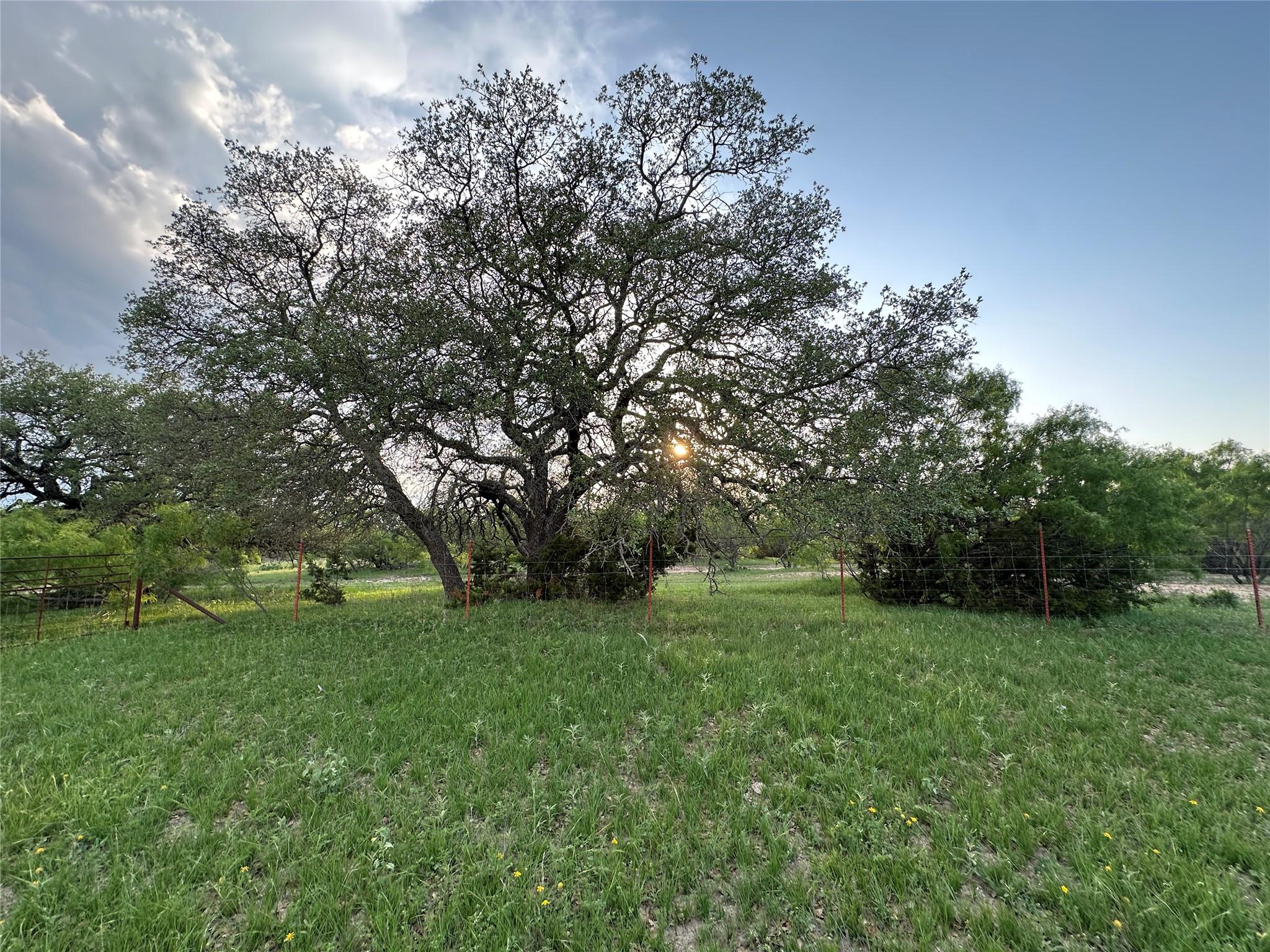 Tbd Fm 3023 None Property Photo 5