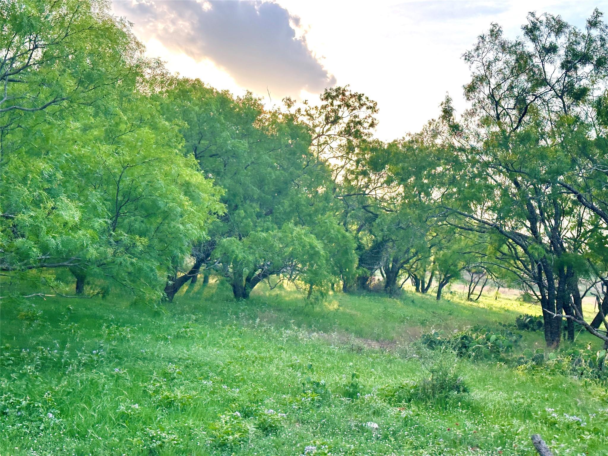 Tbd Fm 3023 None Property Photo 12