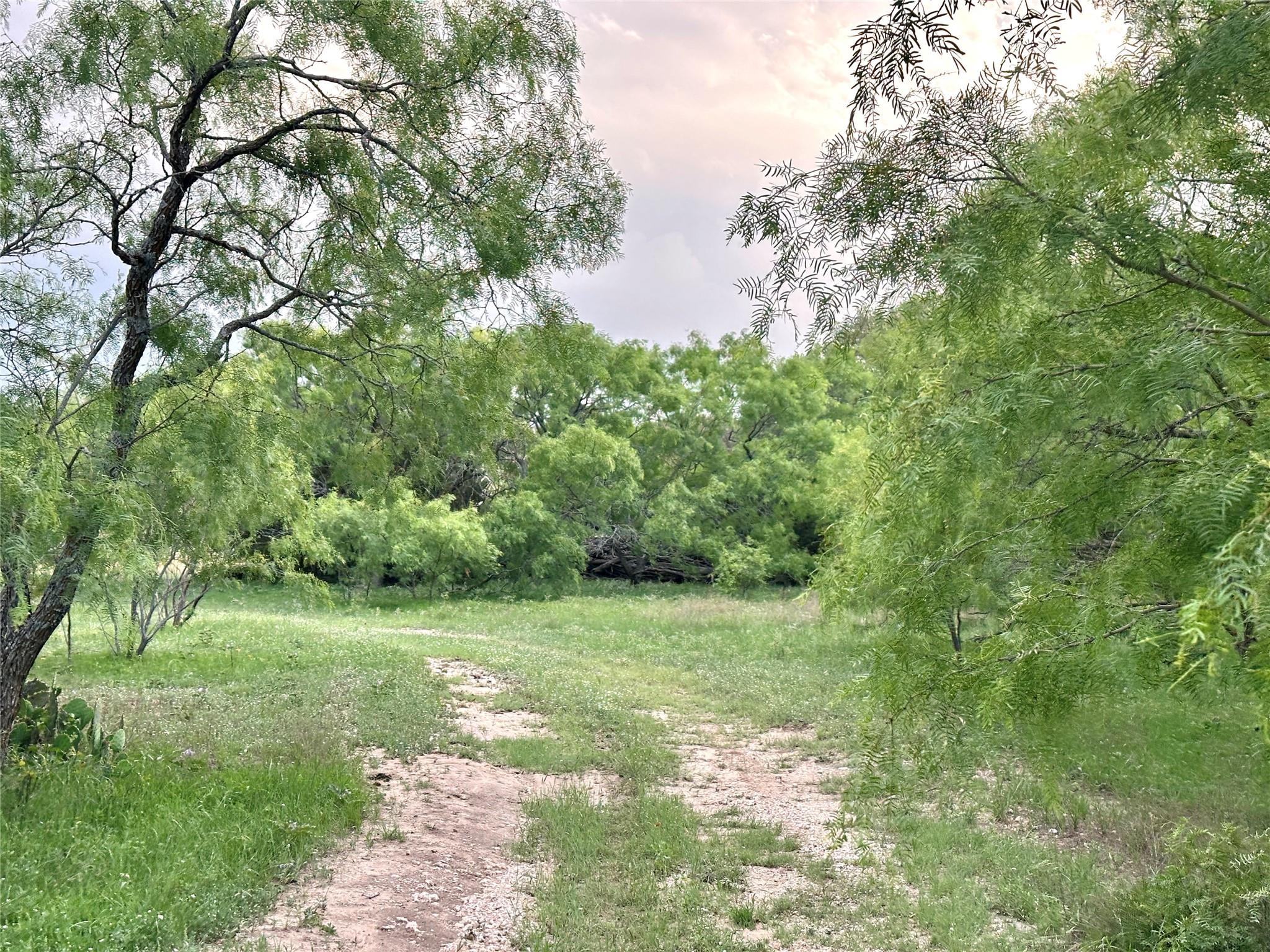 Tbd Fm 3023 None Property Photo 13