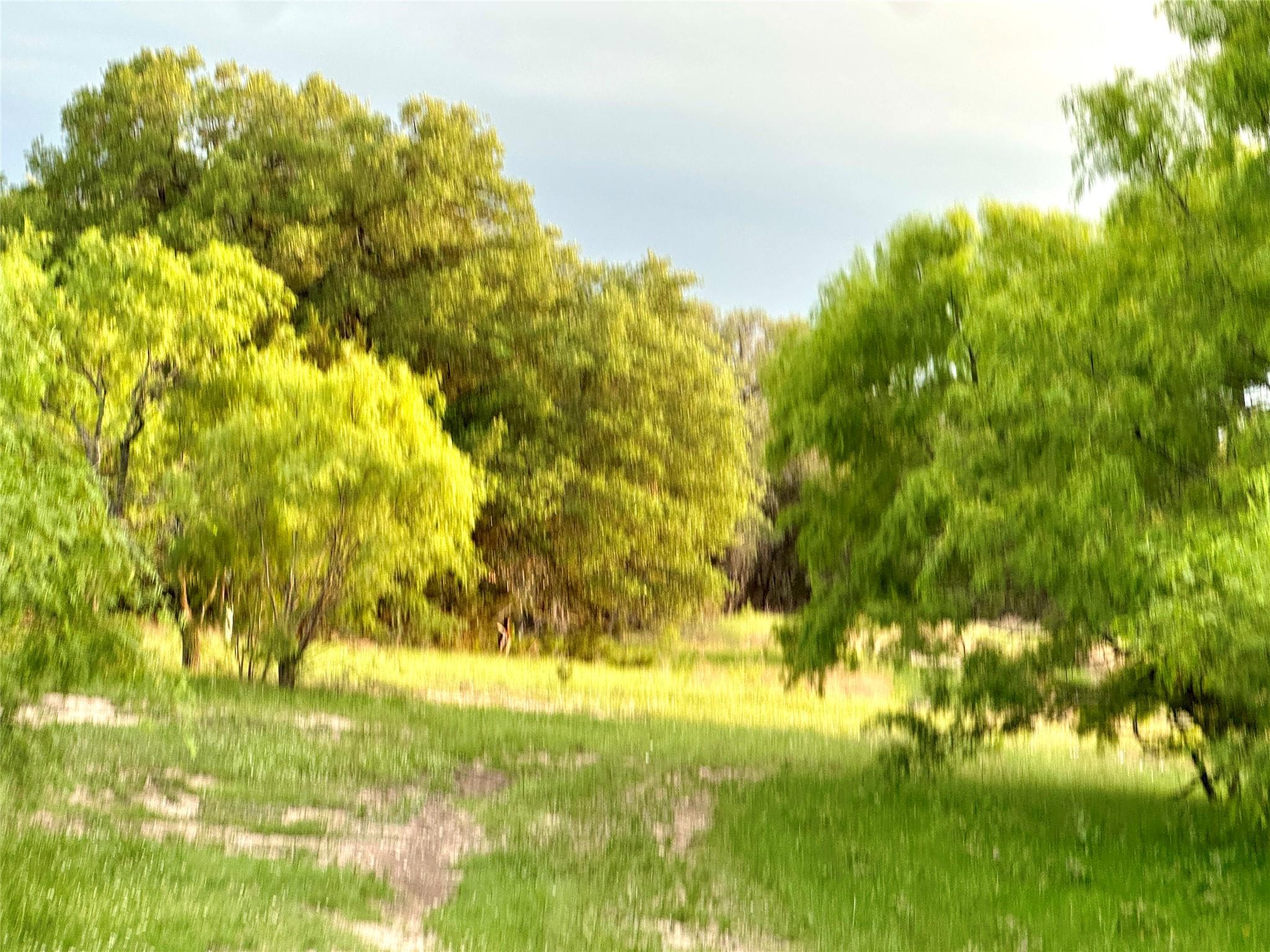 Tbd Fm 3023 None Property Photo 14