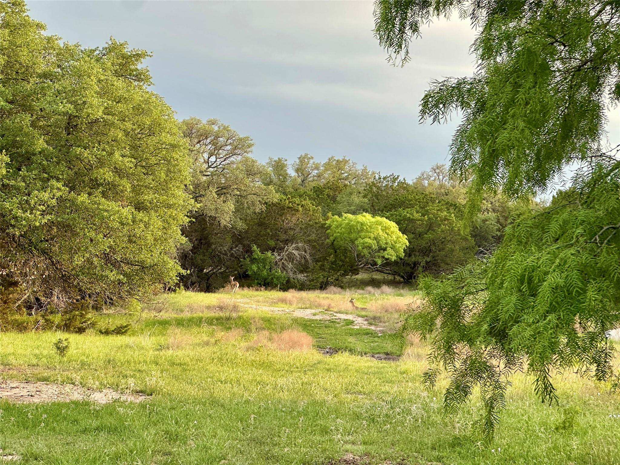 Tbd Fm 3023 None Property Photo 15