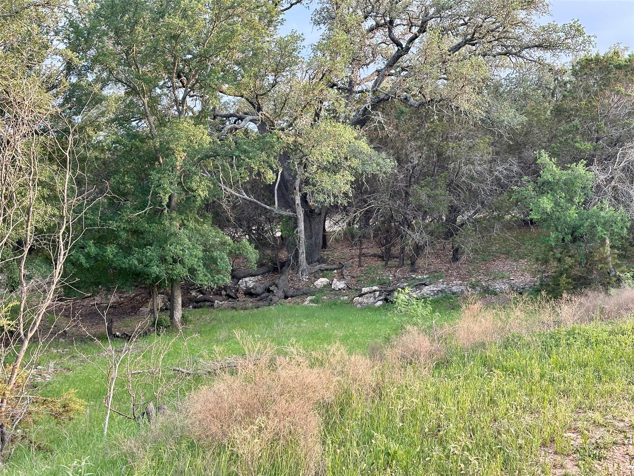 Tbd Fm 3023 None Property Photo 18