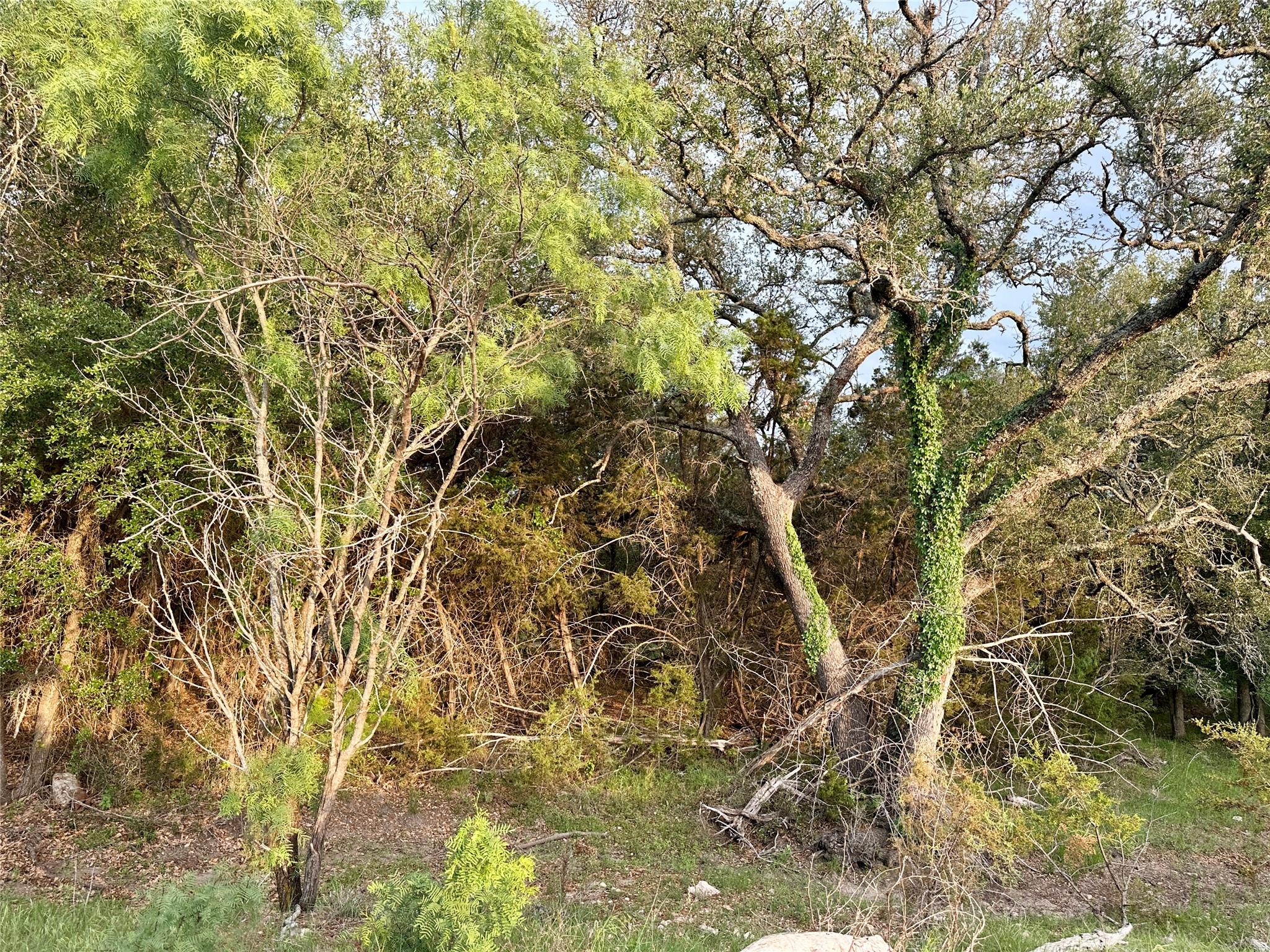 Tbd Fm 3023 None Property Photo 19