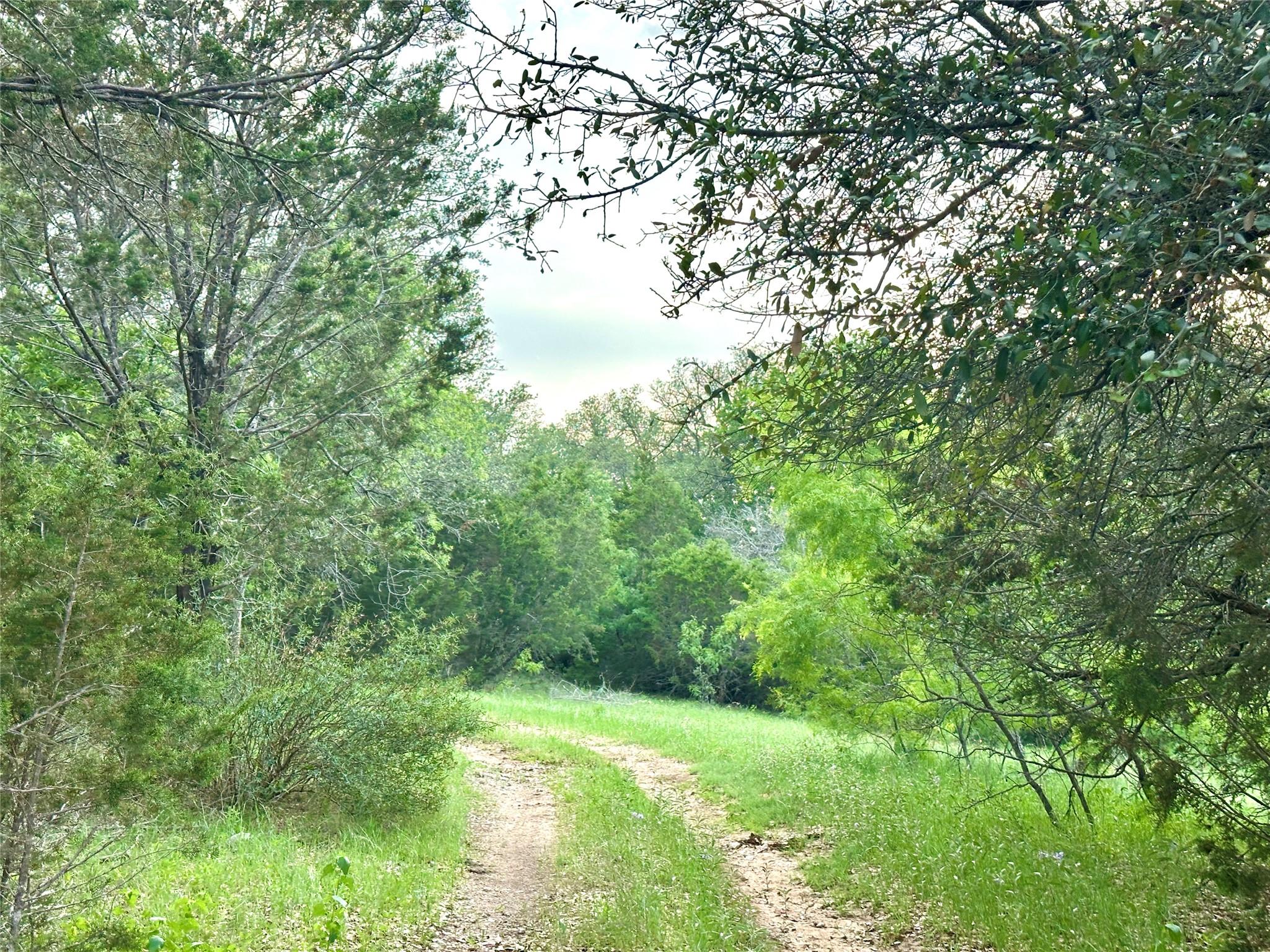 Tbd Fm 3023 None Property Photo 23